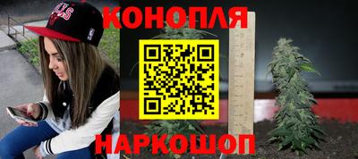 амф Севастополь