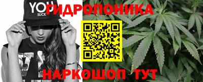 амф Севастополь
