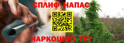 амф Севастополь