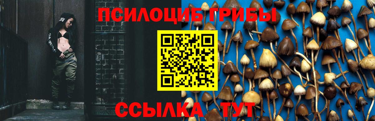 Псилоцибиновые грибы Cubensis Орехово-Зуево